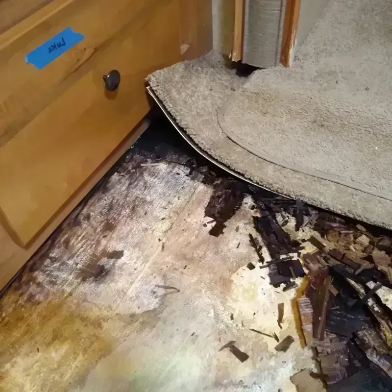 Wood Floor Water Damage in Homestead, FL